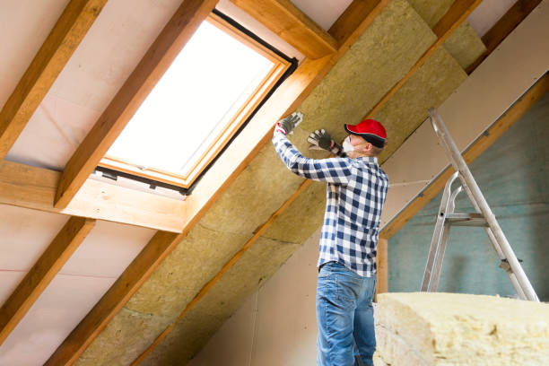 Professional Insulation Services in Lake St Louis, MO